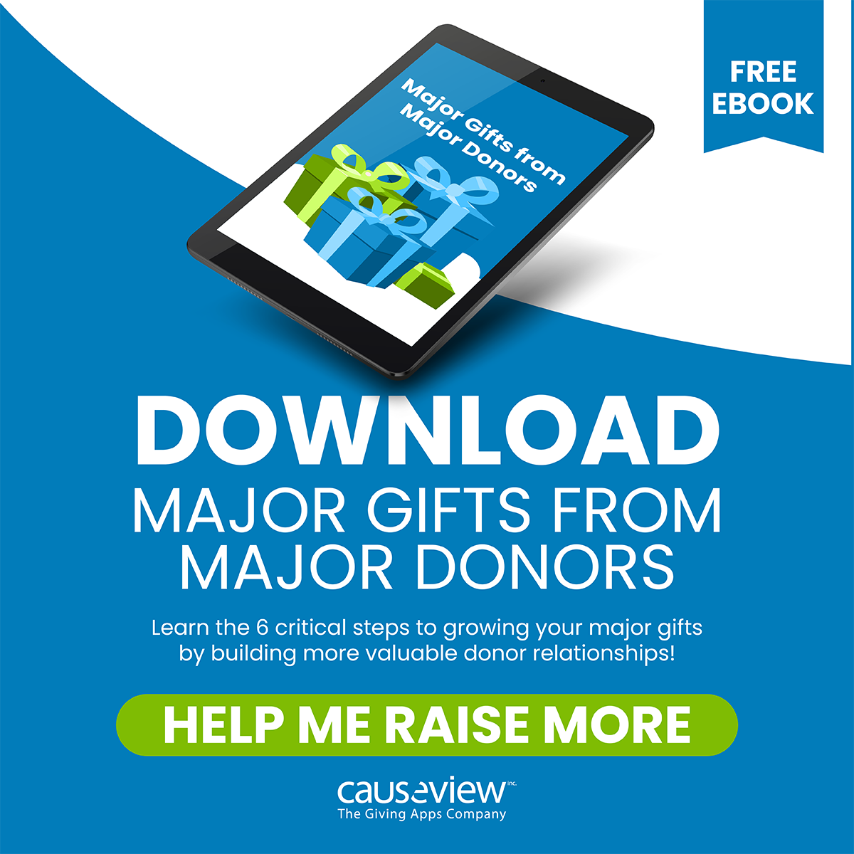 Major Gifts from Major Donors eBook