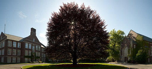 Worcester Polytechnic Institute