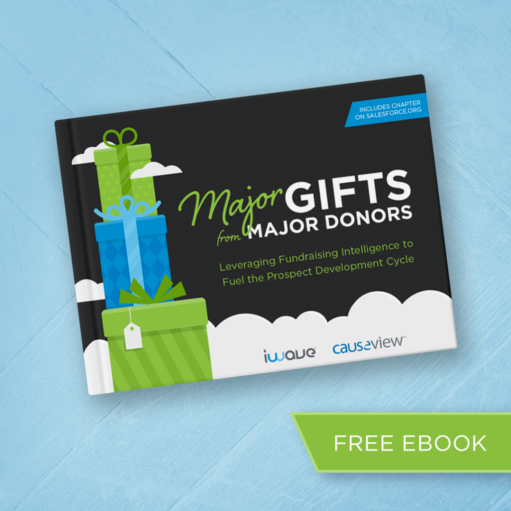 Master major gift fundraising with our new, free eBook